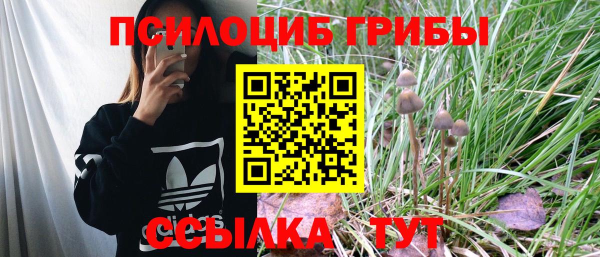 Галлюциногенные грибы Psilocybine cubensis Тулун